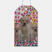 Drie labrador Puppies Oil geverfd, Cadeaulabel (Achterkant)