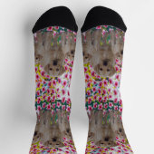 Drie labrador Puppies Oil Paint, Kreeg Sokken (Top)