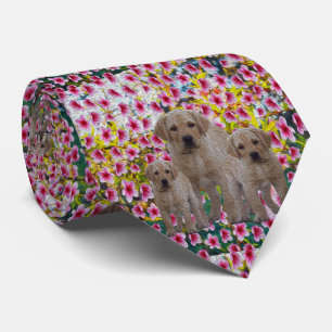 Drie labrador Puppies Oil Paint, Stropdas