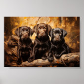 Drie labrador puppies poster (Voorkant)