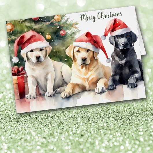 Drie Labrador Retrievers met Kerstmuts - Kerstmis