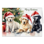 Drie Labrador Retrievers met Kerstmuts - Kerstmis (Voorkant Horizontaal)