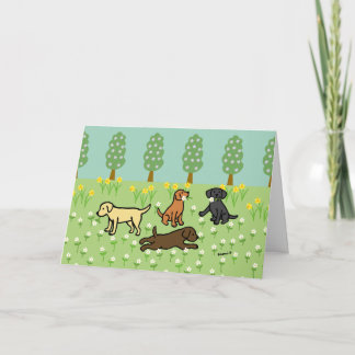 Drie Labradors met Lentebloemen Kaart