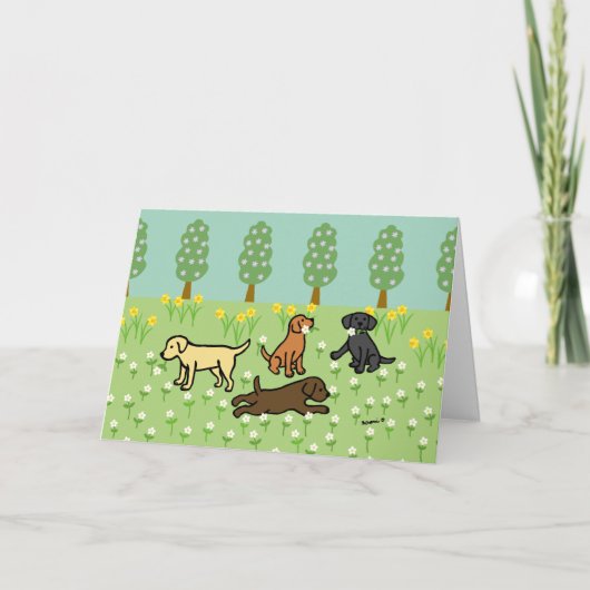 Drie Labradors met Lentebloemen Kaart (Voorkant)