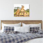 Drie leeuwen Drink Canvas Afdruk (Insitu (Slaapkamer))