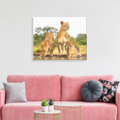 Drie leeuwen Drink Canvas Afdruk (Insitu (Woonkamer))