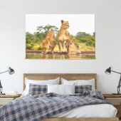 Drie leeuwen Drink Canvas Afdruk (Insitu (Slaapkamer))