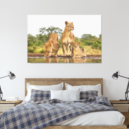 Drie leeuwen Drink Canvas Afdruk (Insitu (Slaapkamer))