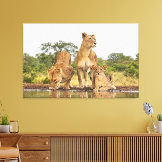 Drie leeuwen Drink Canvas Afdruk (Insitu (Woonkamer))