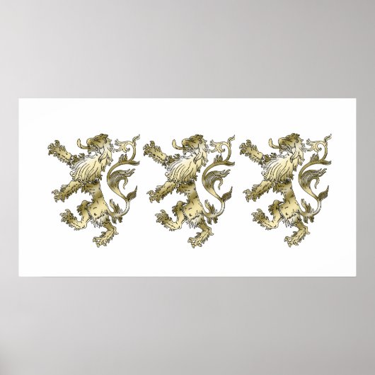 Drie leeuwen geschenken in de schaduw poster (Voorkant)