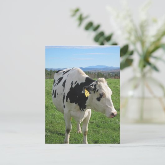 Drie legged Cow Briefkaart (Staand voorkant)