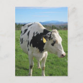 Drie legged Cow Briefkaart (Voorkant)