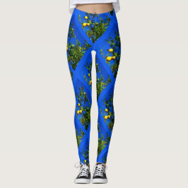Drie Leggings van de Siciliaanse Lemons