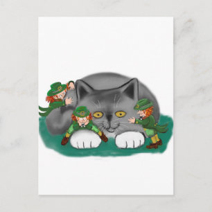 Drie Leprechauns en een Kitten zijn vrienden Briefkaart
