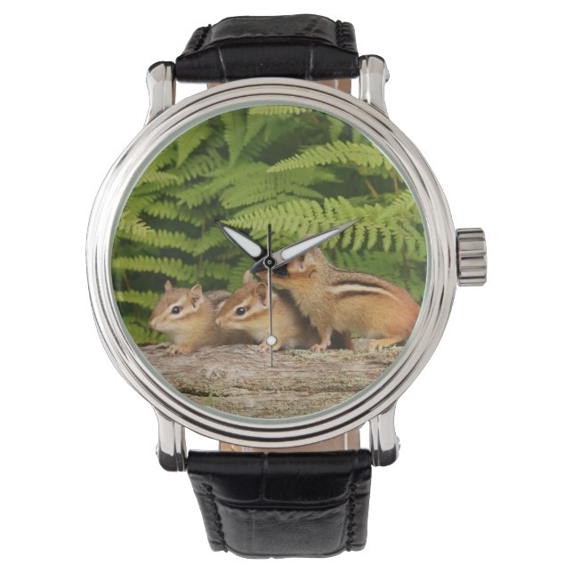 Drie leuke Baby Chipmunks Horloge (Voorkant)
