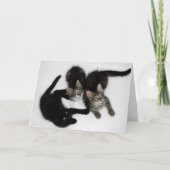 Drie Leuke Kittens Blank Wenskaart Kaart (Voorkant)
