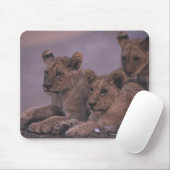 Drie lionkubussen muismat (Met muis)