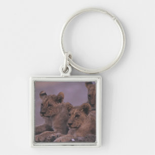 Drie lionkubussen sleutelhanger