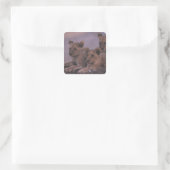 Drie lionkubussen vierkante sticker (Tas)