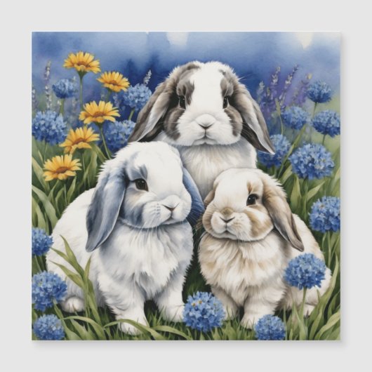 Drie Little Lop Bunny Konijnen magnetische kaart (Voorkant)