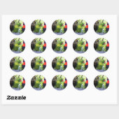 Drie lorikeets ronde sticker (Vel)
