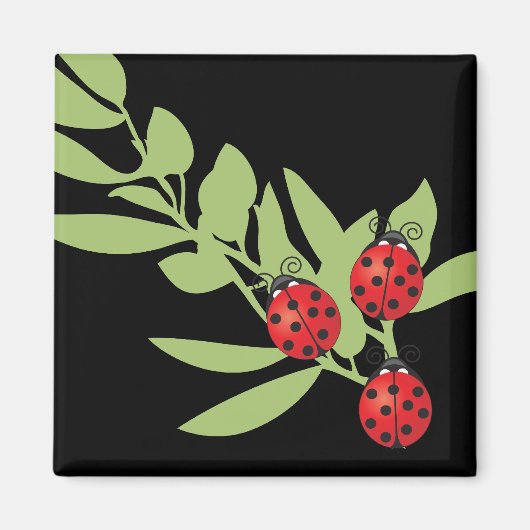 Drie Lucky Ladybugs Magneet (Voorkant)