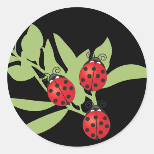 Drie Lucky Ladybugs Ronde Sticker