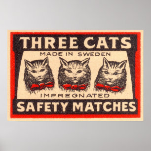 Drie maatstaven voor de veiligheid van katten poster