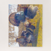 Drie mannelijke kalkoenen in de hitte en een Lady- Legpuzzel (Verticaal)