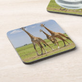 drie Masai giraffes, Giraffa camelopardalis Onderzetter (Linkerzijde)