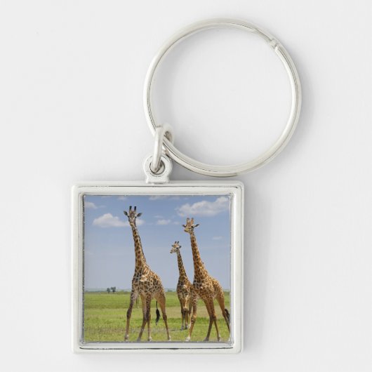 drie Masai giraffes, Giraffa camelopardalis Sleutelhanger (Voorkant)