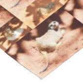 Drie Meerkat Afbeelding Collarge Tafelkleed (Gekanteld)
