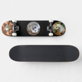 Drie Meerkat-foto's, compleet skateboard (Horizontaal)