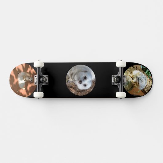 Drie Meerkat-foto's, compleet skateboard (Horizontaal)