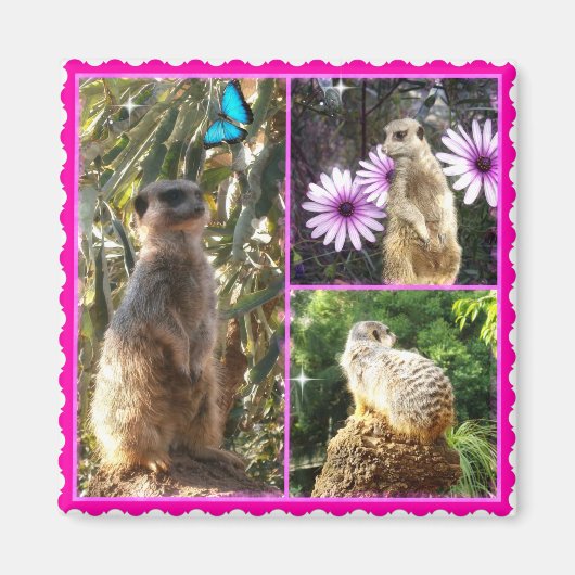 Drie Meerkat Photo Collage, Fridge Magnet (Voorkant)