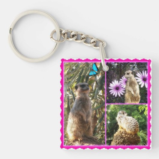 Drie Meerkat Photo Collage, Keyring Sleutelhanger (voorkant)