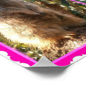 Drie Meerkat Photo Collage, Poster (Hoek)