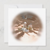 Drie Meerkats in de zon, een platte kaart (Achterkant)