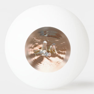 Drie Meerkats vun in the Sun, pingpong Ball
