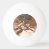 Drie Meerkats vun in the Sun, pingpong Ball (Achterkant)