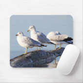 Drie meeuwen op een logboek muismat (Met muis)