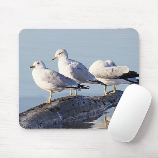 Drie meeuwen op een logboek muismat (Met muis)