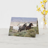 Drie merries lopen wilde paarden Wenskaart Kaart (Gele Bloem)