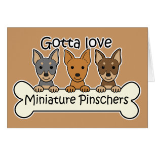 Drie miniatuur Pinschers