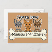 Drie miniatuur Pinschers Briefkaart (Voorkant / Achterkant)