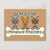 Drie miniatuur Pinschers Briefkaart (Voorkant)