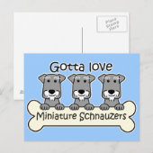 Drie Miniatuur Schnauzers Briefkaart (Voorkant / Achterkant)