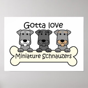 Drie Miniatuur Schnauzers Poster