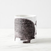 Drie Mok egel (Center)