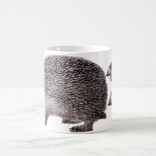 Drie Mok egel (Center)